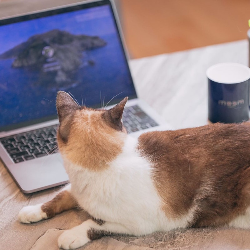 「デジタルノマドビザ」って知ってる? 観光立国の日本が外国人に敬遠される「リモートワーク在留資格」のダメっぷり