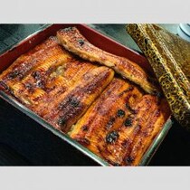 横浜デパート「うなぎ弁当」集団食中毒で死者！超高齢者に「うなぎと寿司」を食べさせる「危険な落とし穴」