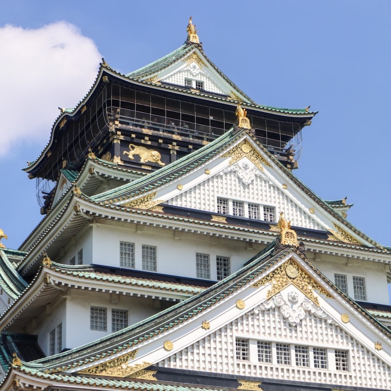 〈豊臣秀長プロファイル〉兄を天下人にした超ナンバー2伝説／豊臣兄弟もびっくり！歴史を動かした「日本の兄弟」