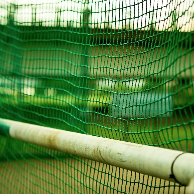 サブロー新監督が張り切るロッテ宮崎キャンプで地元が心配する「出ていくかもしれない」事情