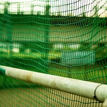 サブロー新監督が張り切るロッテ宮崎キャンプで地元が心配する「出ていくかもしれない」事情