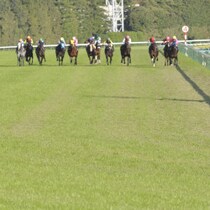 【世界２位の超高額競馬】20年ぶり外国馬優勝で…ジャパンカップ１着賞金「来年から12億5000万円に引き上げ」の「条件」