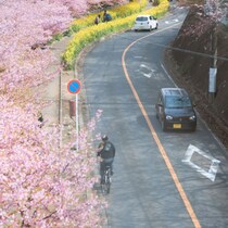 【運転規則チェック】道路のセンターライン「黄色と白」ぜんぶ意味わかってる!? 「黄色い線は越えるな」は間違った思い込み