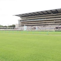 ミスターWIN5・伊吹雅也「6億円馬券」研究所〈ダブルハートボンドに不安ナシ〉