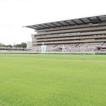 ミスターWIN5・伊吹雅也「6億円馬券」研究所〈中山記念は血統と直近の成績重視〉