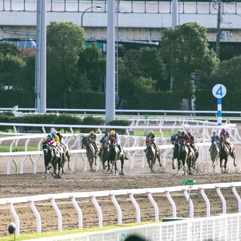 【チューリップ賞の大ヒント】重賞5連勝「佐賀のサキドリちゃん」殴り込み で名馬ライデンリーダーの再現が!