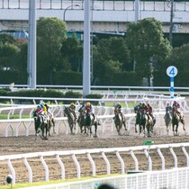 【チューリップ賞の大ヒント】重賞５連勝「佐賀のサキドリちゃん」殴り込み で名馬ライデンリーダーの再現が！