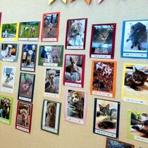 「ペットロス」になったらどうする!? 「お別れ」実体験でわかった「３つの対処法」／ケイリン女王・高木真備の「保護ねこ生活」