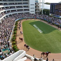 【中山牝馬Ｓの大ヒント】超特有コースバイアス大歓迎のウハウハ馬「正攻法の消去法」で絞り込んだらなんと１頭だけ…