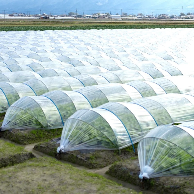 茨城県「不法就労外国人を通報したら報奨金1万円」に群がる「迷惑系YouTuber」と「自称パトロール隊」の歪んだ正義感