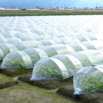 茨城県「不法就労外国人を通報したら報奨金１万円」に群がる「迷惑系YouTuber」と「自称パトロール隊」の歪んだ正義感