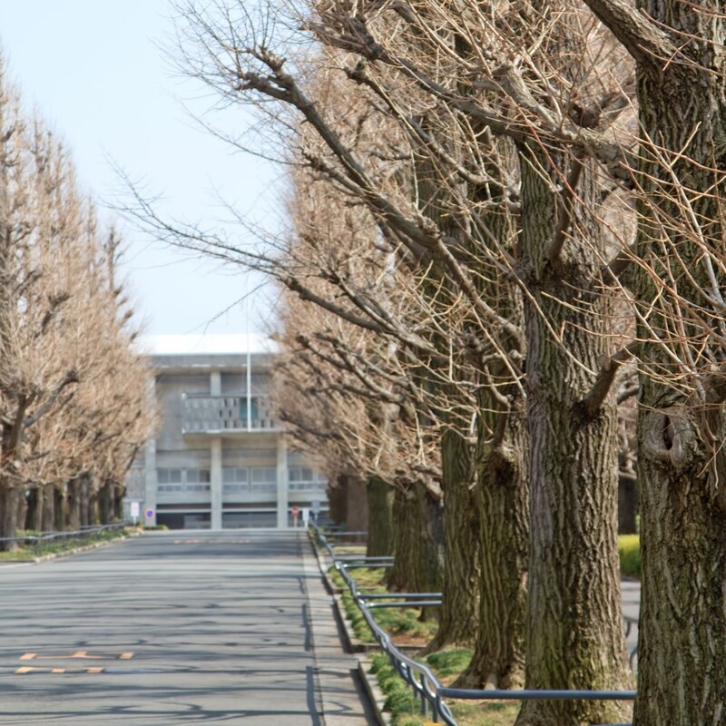 長野・松本で「ノジマ」が展開した「存在しない大学」入学祝コーナーの大盛り上がり!え、入試案内も就職実績も公式Xもあるって!?