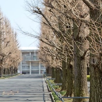 長野・松本で「ノジマ」が展開した「存在しない大学」入学祝コーナーの大盛り上がり！え、入試案内も就職実績も公式Ｘもあるって!?