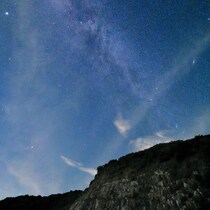 ポルトガル上空に出現「巨大昆虫型UFO」とロシア「異星人解剖報告書」の驚くべき「一致」ハエやトンボの羽を持ち排泄物を分泌