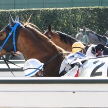 【馬券のツボ】「舟山瑠泉と田山旺佑」デビュー２年目騎手の急伸ぶり「減量特典・先行逃げ切り・ガッチリ騎乗フォーム」