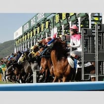 レイデオロ産駒「黄色信号」で登場する2億4200万円の良血「ラケダイモーン」の期待値