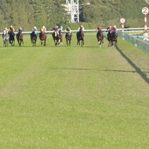【高松宮記念分析】勝ち時計は雄弁に物語る！サトノレーヴとナムラクレアの明暗を分けた「偽りの良馬場」