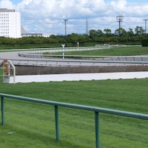 競馬界に「第２のオジュウチョウサン」出現！平地重賞「２ケタ惨敗だらけ」が障害レース転向で「10馬身差ぶっちぎり」異次元の変貌馬