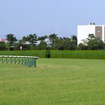「７歳⇒７歳⇒９歳」決着の高松宮記念に続いて…大阪杯も「高齢馬にガッツリ注意」な３頭の決め手