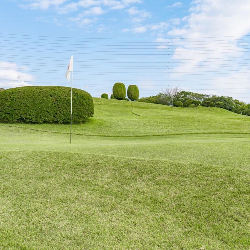 キャディーは見た！大手企業「お花見ゴルフ接待」最新デジタル技術とAIで演出する「高度で完璧なミスショット」