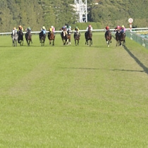 【春競馬】オークス戦線に「すごい怪物」出現！「残念桜花賞」を「ポツンと最後方」から爆走一気「リバティアイランドの再来」