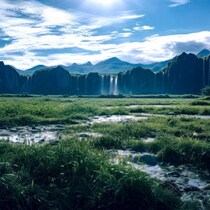 【2026年に発見されそうなUMA②】絶滅から90年「実は生存個体群がいた」タスマニアタイガーの「クローン再生計画」