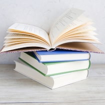 寺脇研が選ぶ今週のイチ推し！〈存在自体が粋な人だった！名コンビが語る横綱の素顔〉