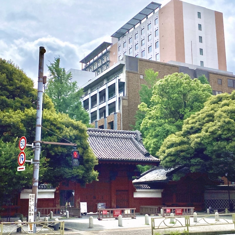 前駐豪大使・山上信吾が日本外交の舞台裏を抉る！～東大出身の首相が消えたのは世襲政治家の増殖と東大生が「外資系コンサル」を目指すから～