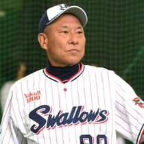 巨人３連戦に勝ち越し…ヤクルト池山采配でまだまだ快進撃の理由は「全試合で３番・捕手」３人ローテ打線