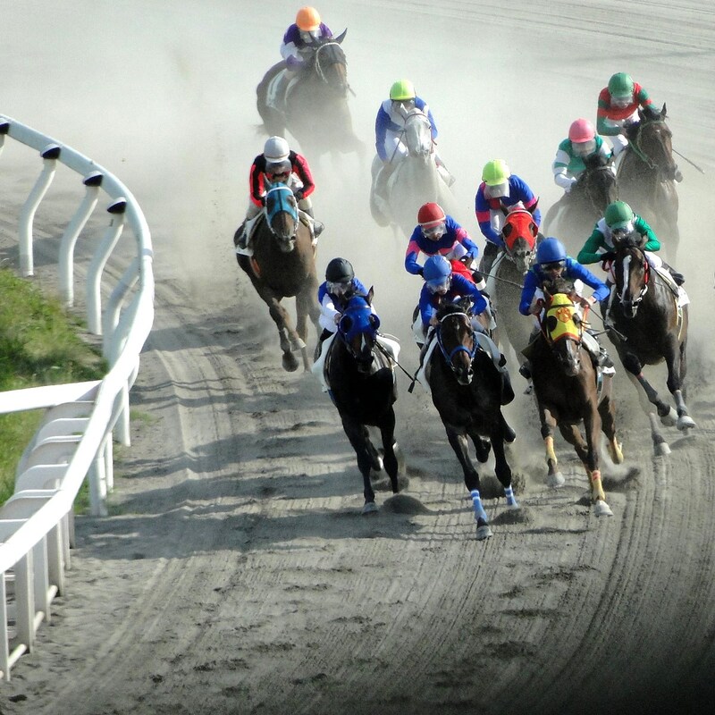 【競馬界の珍事】騙馬はつらいよ…マイラーズＣにも！コースも距離も全く違う４レースに同時出走登録されたレディントンの「すさまじい運命」