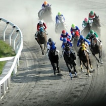 【競馬界の珍事】騙馬はつらいよ…マイラーズＣにも！コースも距離も全く違う４レースに同時出走登録されたレディントンの「すさまじい運命」