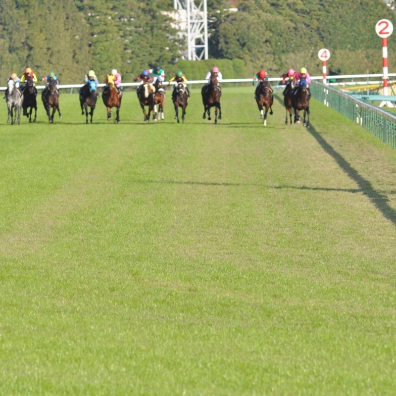 ジャンタルマンタル「香港チャンピオンズマイル13着大惨敗」でわかった「アキレス腱」次走・安田記念は「重馬場なら迷わず消し！」