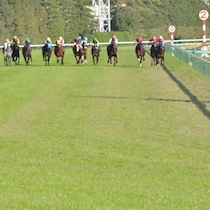 ジャンタルマンタル「香港チャンピオンズマイル13着大惨敗」でわかった「アキレス腱」次走・安田記念は「重馬場なら迷わず消し！」