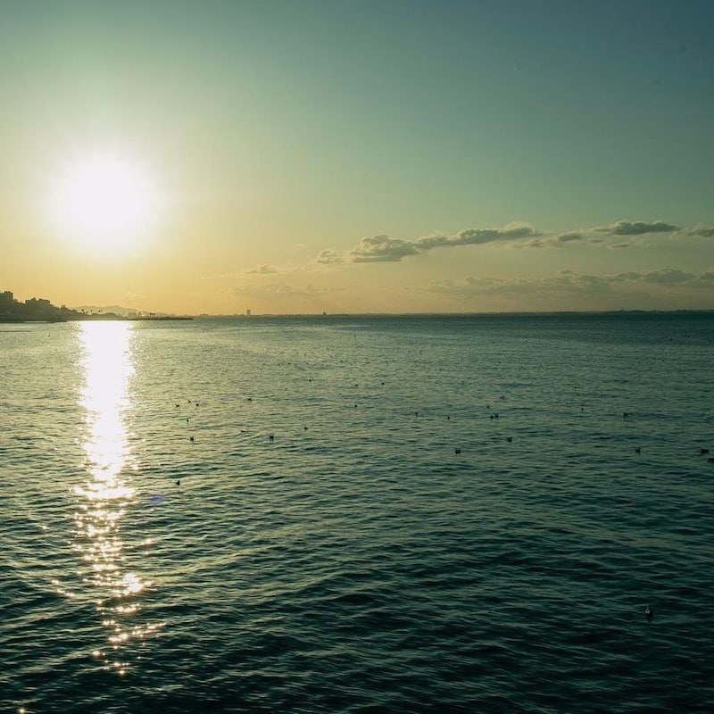 「注意情報解除」の陰で「不気味なスロースリップ」が三陸沖を北上中！気象庁が口ごもる「空白域の巨大地震」危険度MAX海域