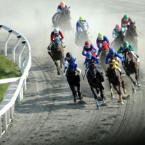 【競馬界の珍事】騙馬はつらいよ…マイラーズＣにも！コースも距離も全く違う４レースに同時出走登録されたレディントンの「すさまじい運命」