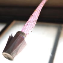 【ドキュメント！不適切な昭和】家じゅうハエだらけ！ハエ取り紙・ハエ叩き・蠅帳・学校でハエ取り競技も…