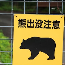 【GW緊迫列島】行楽地は山中も街中も「春グマ」だらけ！腹をすかせた個体に襲われたら「防御のすべなく万事休す」