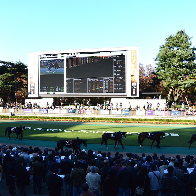 【エプソムCの大ヒント】大惨敗にまみれたGI馬ステレンボッシュ「V字復活はココで」秘かに勝負がかかる「動き」
