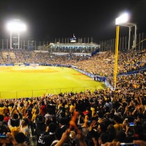 東京ドーム・甲子園・神宮球場での野球観戦が外国人観光客に大ウケする理由