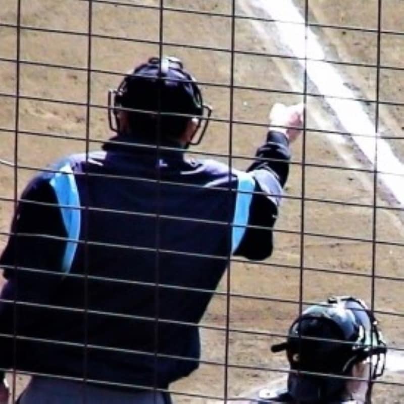 プロ野球ルールに風雲急「審判重傷事故」連発で「危険スイングに退場処分」を…もう「珍プレー番組」では流せなくなる