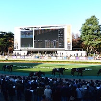 【エプソムＣの大ヒント】大惨敗にまみれたGI馬ステレンボッシュ「Ｖ字復活はココで」秘かに勝負がかかる「動き」