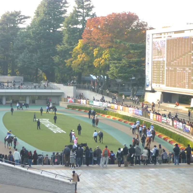 【ヴィクトリアＭの大ヒント】寺山修司の言を想起させる「悲運の２勝馬」と「最強の１勝馬」隠れた２強対決