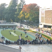 【ヴィクトリアＭの大ヒント】寺山修司の言を想起させる「悲運の２勝馬」と「最強の１勝馬」隠れた２強対決