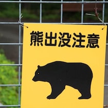 東京・奥多摩で「上半身のない遺体」発見！人肉の味を覚えた「人食いグマ」にクマ鈴の音は「獲物の接近を知らせるシグナル」