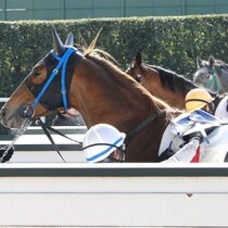 【競馬】母父ハーツクライ「驚くべき重賞勝利数」で日本ダービーの２頭が爆走する