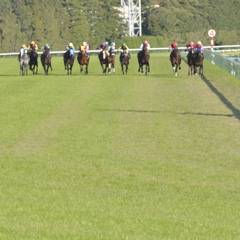 【日本ダービーの大ヒント】「強い皐月賞組」のレースを検証してわかった「東京2400mでの再現性」と「脚を余した馬」