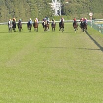 【日本ダービーの大ヒント】「強い皐月賞組」のレースを検証してわかった「東京2400mでの再現性」と「脚を余した馬」