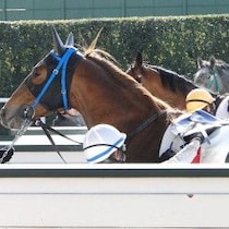 【競馬】母父ハーツクライ「驚くべき重賞勝利数」で日本ダービーの２頭が爆走する