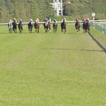 【日本ダービーの大ヒント】「強い皐月賞組」のレースを検証してわかった「東京2400mでの再現性」と「脚を余した馬」
