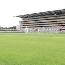 JRA新馬戦スタート！新種牡馬の本命は「エフフォ―リア」叔父クロワデュノールの「ダービーにいきたい」良血馬も